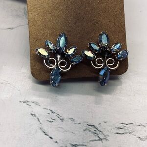 Elegant Silver and Blue Crystal Earrings